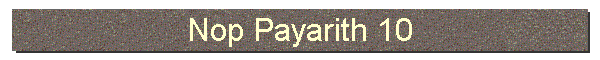 Nop Payarith 10
