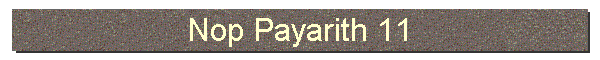 Nop Payarith 11