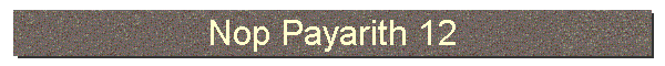 Nop Payarith 12