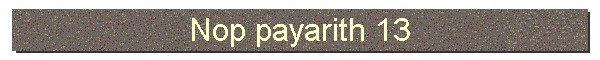 Nop payarith 13