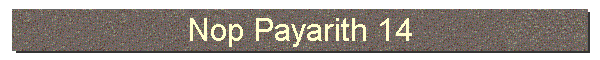 Nop Payarith 14