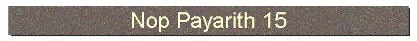 Nop Payarith 15