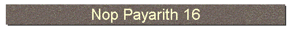 Nop Payarith 16