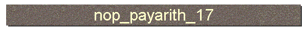 nop_payarith_17