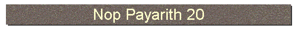 Nop Payarith 20