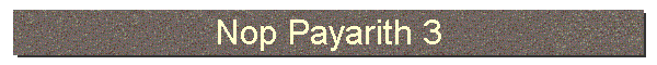 Nop Payarith 3