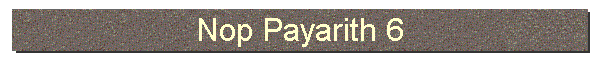 Nop Payarith 6